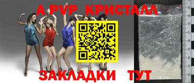 прущие грибы Ставрополь
