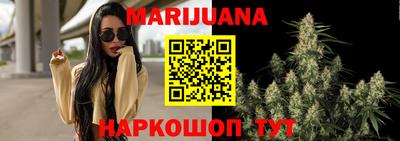 прущие грибы Ставрополь