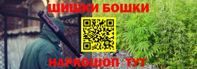 прущие грибы Ставрополь