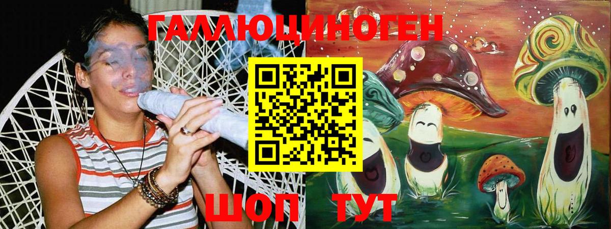 Галлюциногенные грибы Psilocybe Ногинск