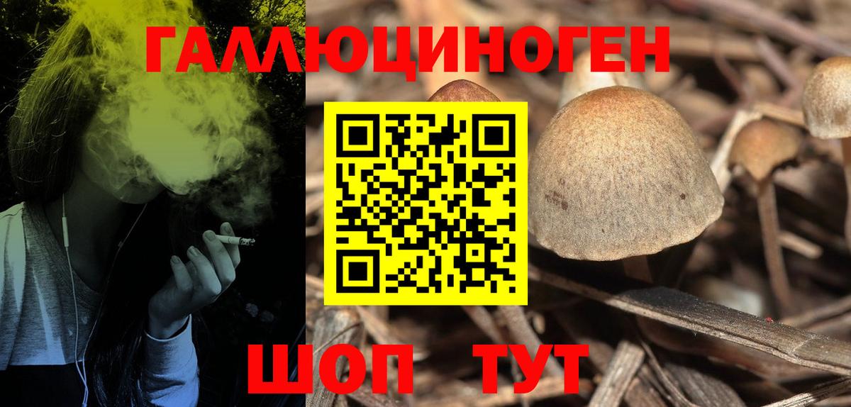 как найти закладки  Вход с VPN  Ногинск  Галлюциногенные грибы Psilocybine cubensis 